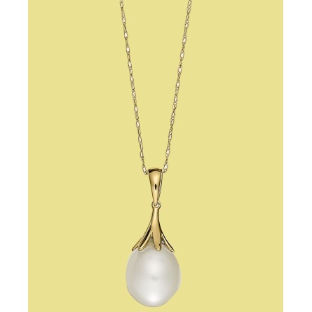 (9mm) Claw Pendant Necklace 18 (9mm) Claw Pendant N...