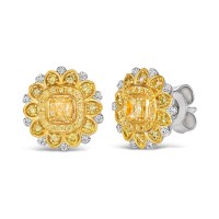 Vanilla Diamond Acce...